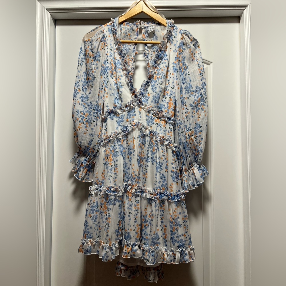 Deep V Neck Ruffle Long Sleeve Floral Print Mini Dress S